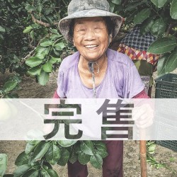 【完售】麻豆李阿嬤 20年老欉文旦禮盒 10斤
