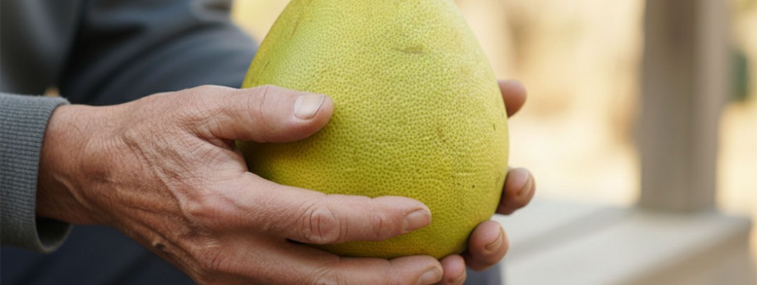 麻豆文旦果園的生存挑戰：柚一村的加工轉型之路