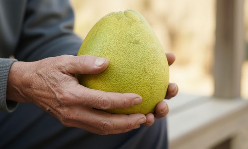 麻豆文旦果園的生存挑戰：柚一村的加工轉型之路