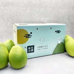 【完售】40年麻豆老欉文旦禮盒 10斤