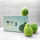 【完售】40年麻豆老欉文旦禮盒 5斤