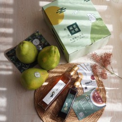 【完售】40年麻豆老欉文旦禮盒 3斤