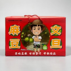 B+級 10斤裝 ／ 汽球彥 正宗麻豆老欉文旦禮盒