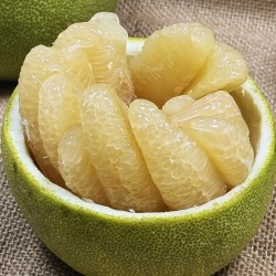 A級 10斤裝 ／ 汽球彥 正宗麻豆老欉文旦禮盒