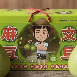 B級大果 10斤裝 ／ 汽球彥 正宗麻豆老欉文旦禮盒
