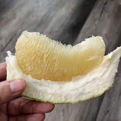 B+級 (醜柚) 10斤裝 ／ 庄稼狼 正宗麻豆老欉文旦禮盒