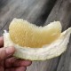 B+級 (醜柚) 10斤裝 ／ 庄稼狼 正宗麻豆老欉文旦禮盒
